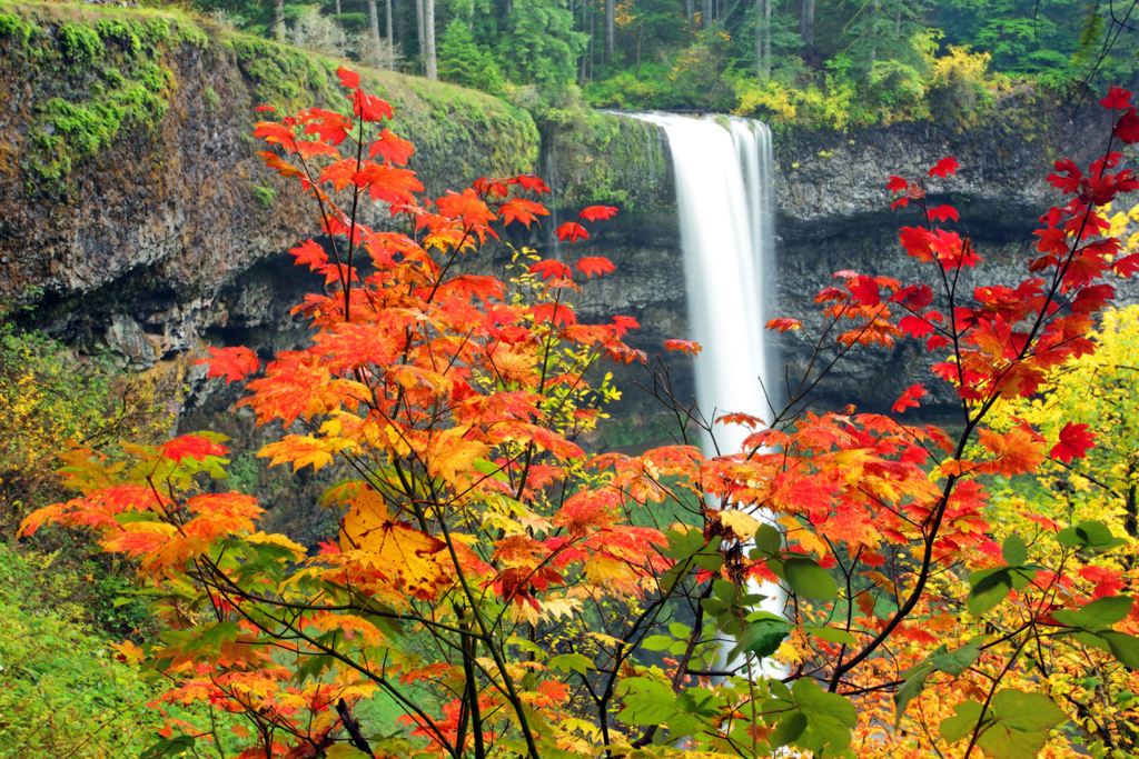 waterfallbackground.jpg